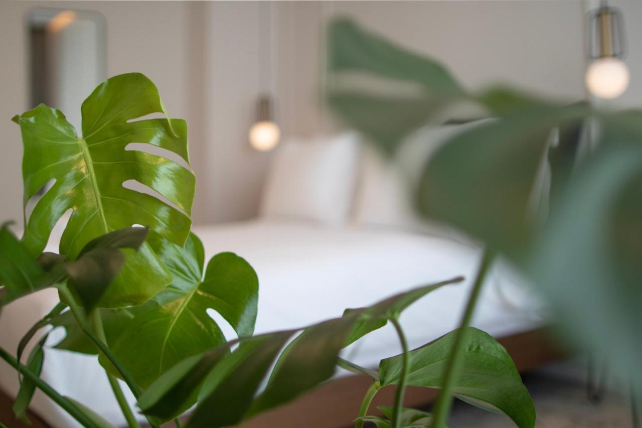Mythodea Athens Suites Екстериор снимка