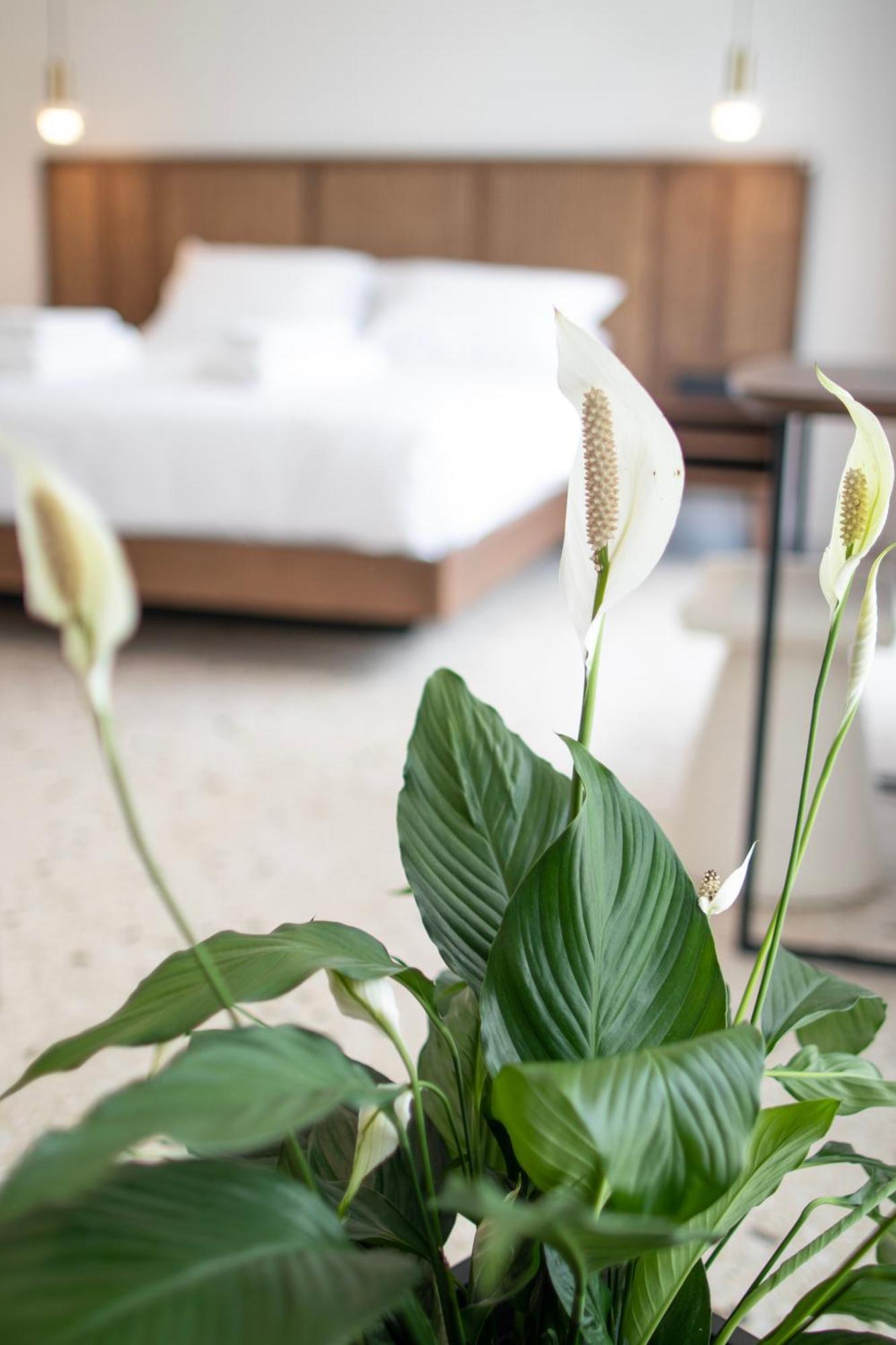 Mythodea Athens Suites Екстериор снимка
